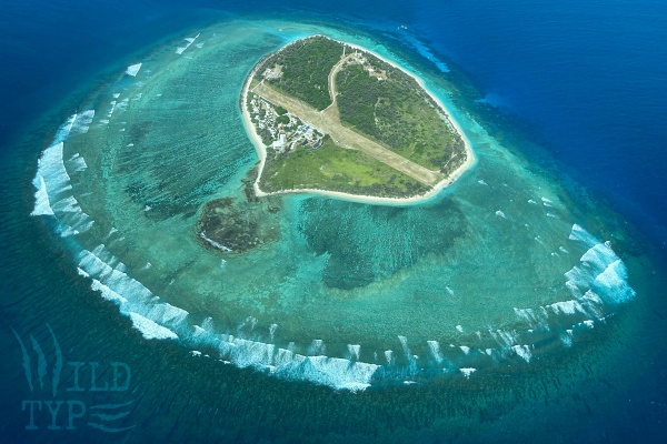 Lady Elliot Island seen from the air.
